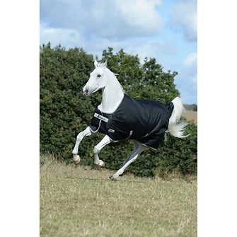 Produkt Bild Bucas Anniversary Turnout Light 0g SD 3