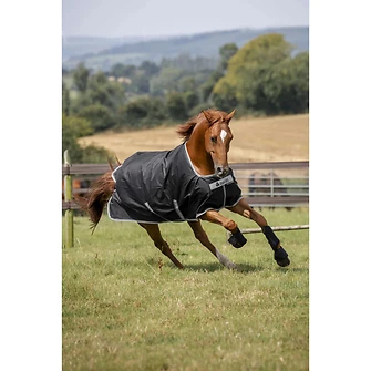 Produkt Bild Bucas Anniversary Turnout Light 0g SD 2