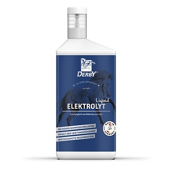 Produkt Bild DERBY Elektrolyt liquid 5L Kanister 1