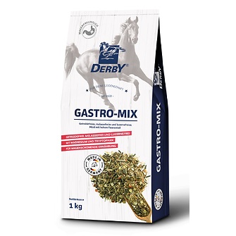 Produkt Bild DERBY Gastro-Mix 1 kg Beutel 1