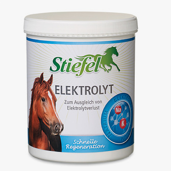 Produkt Bild STIEFEL Elektrolyt Pulver 1kg 1