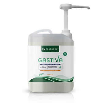 Produkt Bild Gastiva equine 2,5 L 2