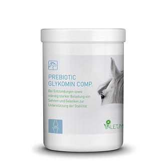 Produkt Bild Valetumed Prebiotic Glykomin Comp. 750g 1