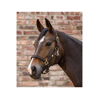 Produkt Bild Waldhausen Halfter Set Ubud 2