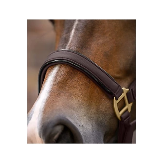 Produkt Bild Waldhausen Halfter Set Ubud 3