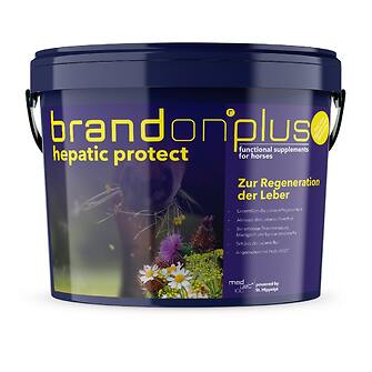 Produkt Bild BrandonPlus Hepatic protect - 3kg 1