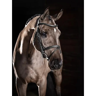 Produkt Bild LeMieux Arika Flash Trense 2