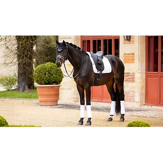 Produkt Bild LeMieux Merino+ Halbunterlegte Suede Dressurschabracke 2