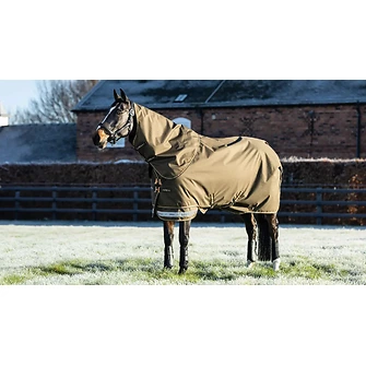 Produkt Bild LeMieux Arika Ripstop 200g Turnout Rug  3
