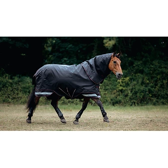 Produkt Bild LeMieux Arika Storm-Tek Rug 50g 2