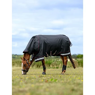 Produkt Bild LeMieux Arika Storm-Tek Rug 50g 3
