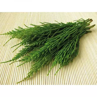 Produkt Bild LEXA Ackerschachtelhalm, 750 gr 2