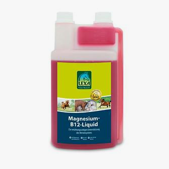 Produkt Bild Lexa Magnesium-B12-Liquid 1L 1