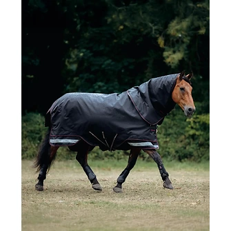 Produkt Bild LeMieux Arika Storm-Tek Rug 200g 2