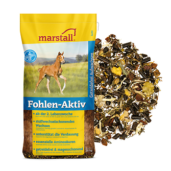Produkt Bild Marstall Fohlen-Aktiv (Müsli) 20kg 1