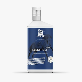 Produkt Bild DERBY Elektrolyt liquid 1L Flasche 1