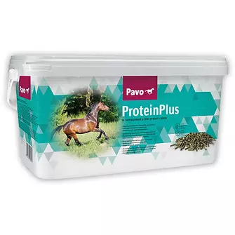 Produkt Bild Pavo ProteinPlus 7kg Eimer 1