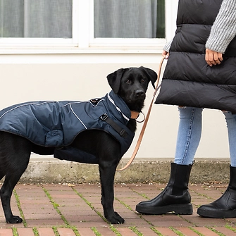 Produkt Bild JEGGO Hundemantel Stockholm 2