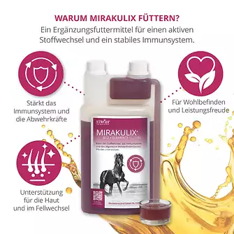 Produkt Bild STRÖH MIRAKULIX 1L Immunbooster 3