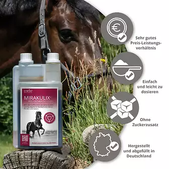 Produkt Bild STRÖH MIRAKULIX 1L Immunbooster 5