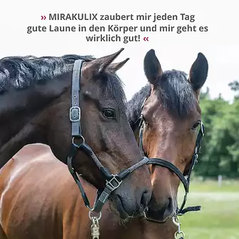Produkt Bild STRÖH MIRAKULIX 1L Immunbooster 7