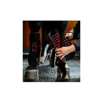 Produkt Bild Horseware LED-Rotlicht-Therapie Gamasche 2