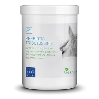 Produkt Bild Valetumed Prebiotic Trigotussin Z 500g 1