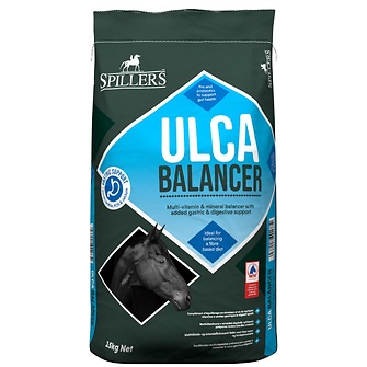 Produkt Bild Spillers Ulca Balancer 15kg 1