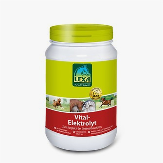 Produkt Bild Lexa Vital-Elektrolyt 1 kg 1