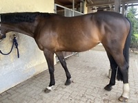 Bericht-Illustration