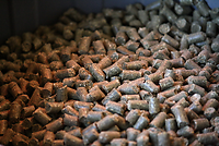 Bericht-Illustration