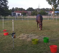 Bericht-Illustration