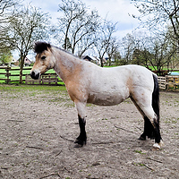 Bericht-Illustration