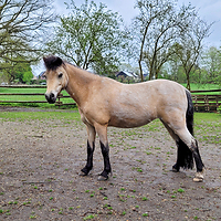 Bericht-Illustration