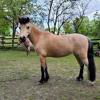 Bericht-Illustration