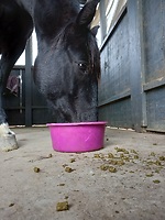 Bericht-Illustration