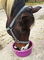 Bericht-Illustration