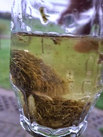 Bericht-Illustration