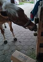 Bericht-Illustration