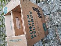 Bericht-Illustration