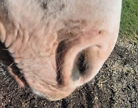 Bericht-Illustration