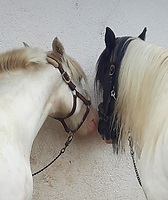 Bericht-Illustration