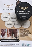 Bericht-Illustration