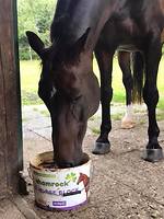 Bericht-Illustration