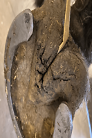 Bericht-Illustration