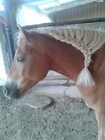 Bericht-Illustration