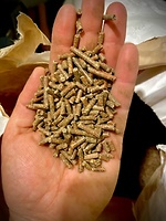 Bericht-Illustration