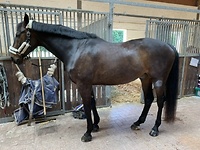 Bericht-Illustration