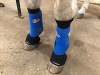 Bericht-Illustration