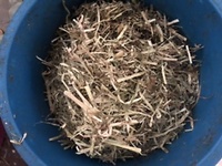 Bericht-Illustration